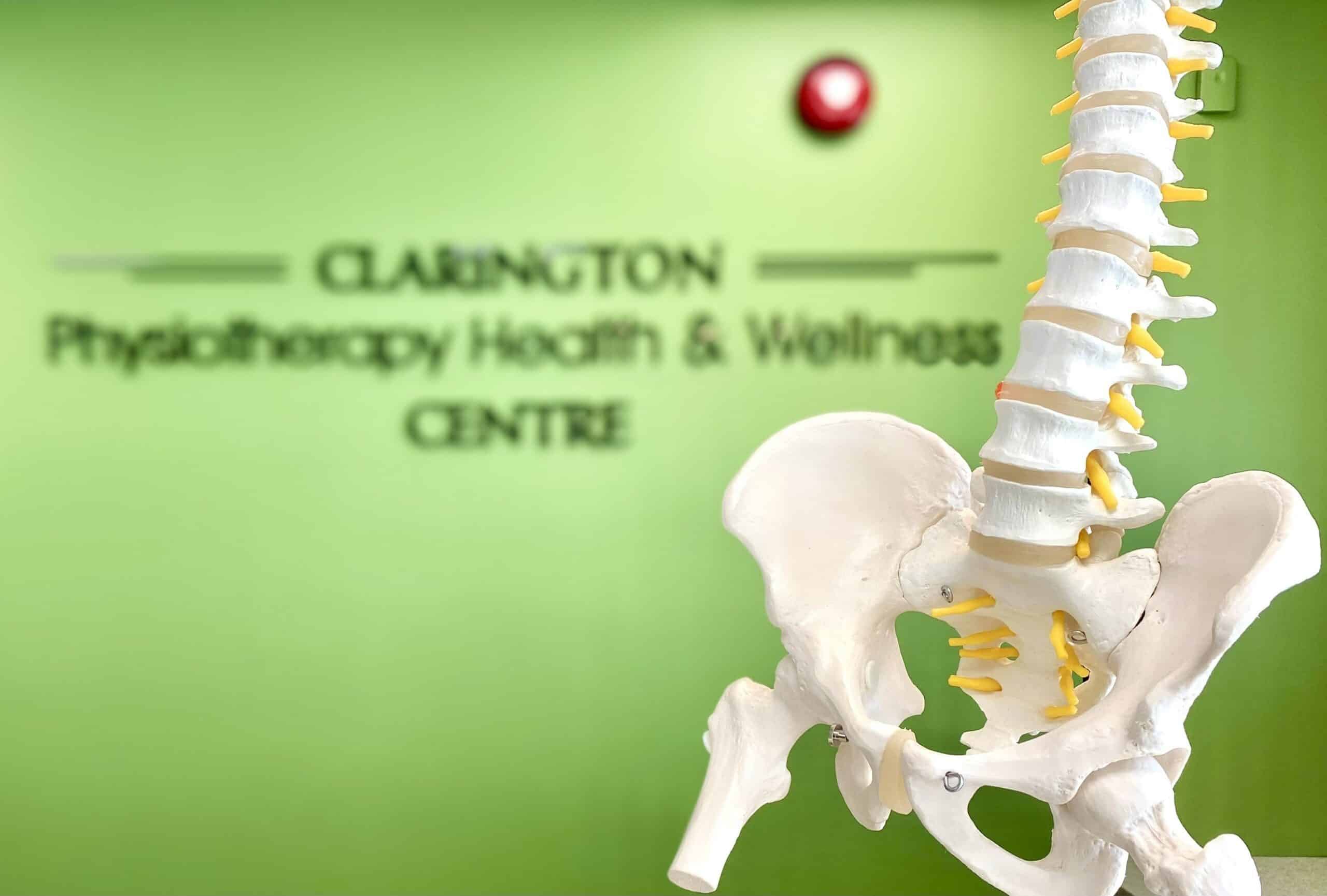 spine 2